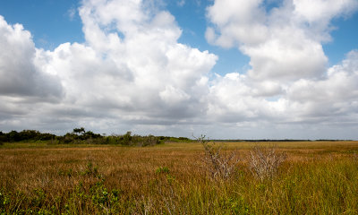 Anhinga Trail in Everglades National Park