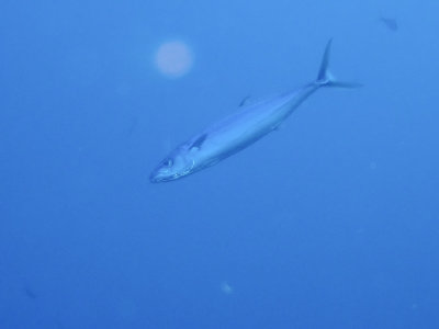 PC211217.jpg