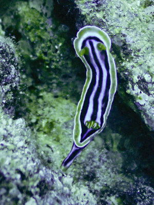 PC201124.jpg