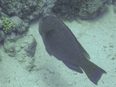 PC221479.jpg