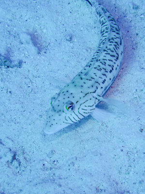 PC201009.jpg