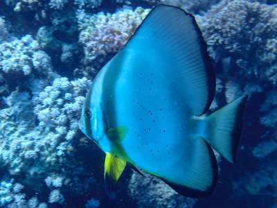 PC221512.jpg