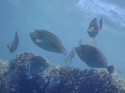 PC221535.jpg