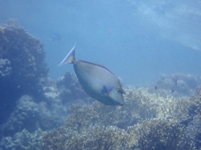 PC221537.jpg