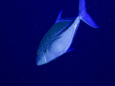PC180168.jpg