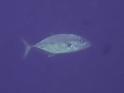 PC200914.jpg