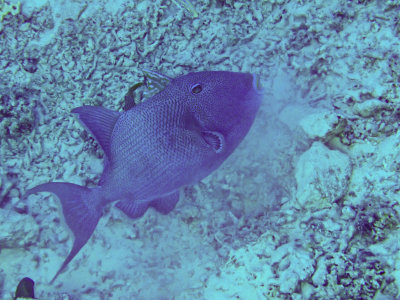 PC200969.jpg