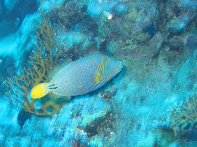 IMG_2433.jpg