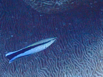 PC221501.jpg
