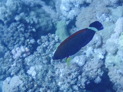 PC221522.jpg