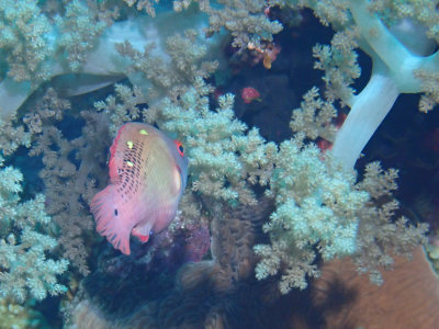 PC211266.jpg