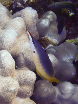 PC201183.jpg