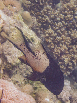 PC221431.jpg
