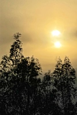 IMG_4427.jpg