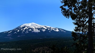 IMG_4486.jpg