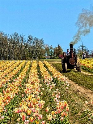 IMG_4694.jpg