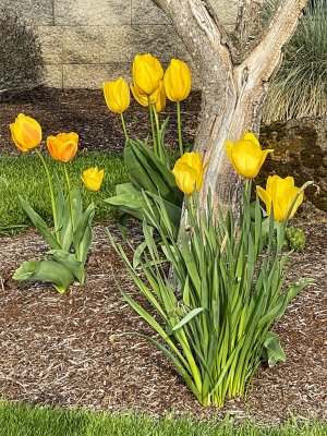 IMG_4863.jpg