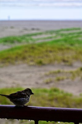 IMG_5464.jpg