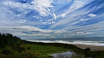 IMG_5594.jpg