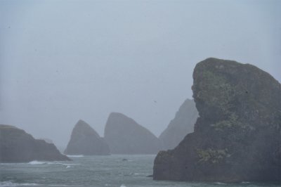IMG_5901.jpg