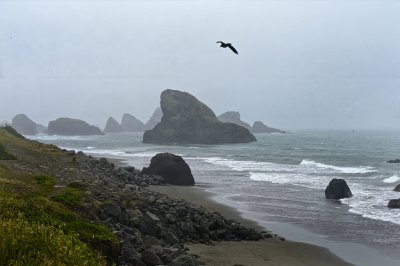 IMG_5902.jpg