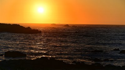 IMG_6336.jpg