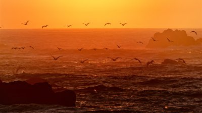 IMG_6341.jpg