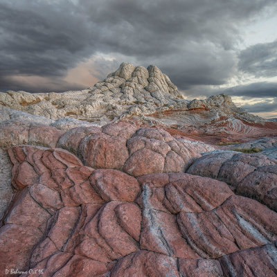 White Pocket, AZ