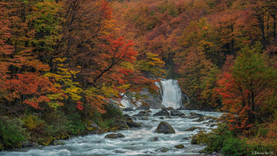 Patagonia, Argentina