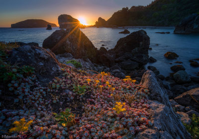 Oregon Coast