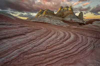 White Pocket, AZ