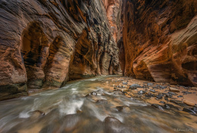 Zion NP