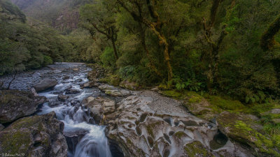 South Island, NZ
