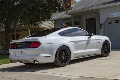 2016 Mustang GT (Gallery2)