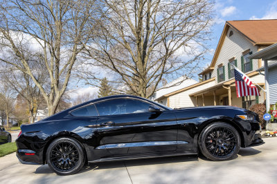 2016 Mustang GT PP1 (Gallery)