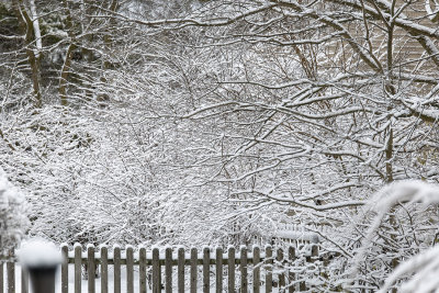 Winter of 2020 (Gallery)