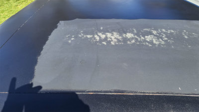 20210320_121757 before.jpg
