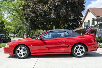 1997 Ford Mustang Cobra (Gallery)