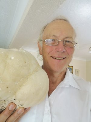 Giant puffball and I!