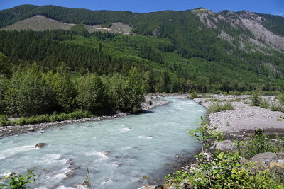 Mt. Rainier, Carbon River Area, June 2019