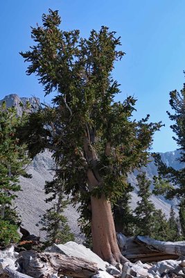 IMG_4579p.jpg