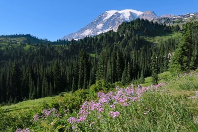 IMG_8400p.jpg