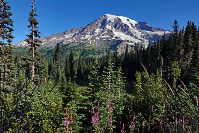 Mt. Rainier - West Side, Aug 23-24, 2020
