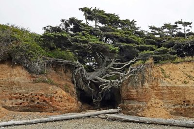 Hurricane Ridge and Kalaloch Area, Aug 24-25, 2020