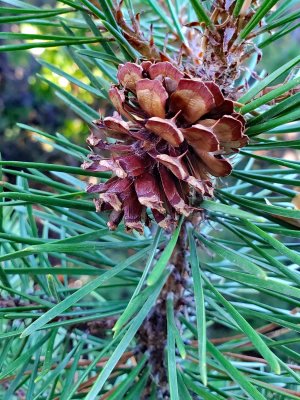 20211016_160944Mp.jpg