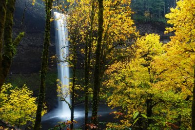Silver Falls State Park, Oregon, USA Oct 2021