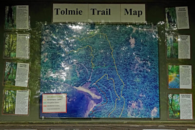 Tolmie State Park, WA, June 28, 2022