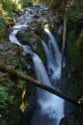 Hike to Sol Duc Falls