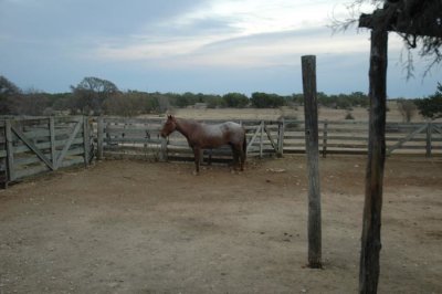 HC CARTER RANCH ..AUSTIN