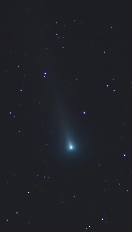 Comet Leonard